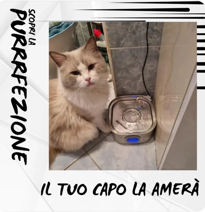 Fontanella gatto- bygiori